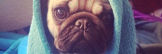 franxuhm's profile banner image