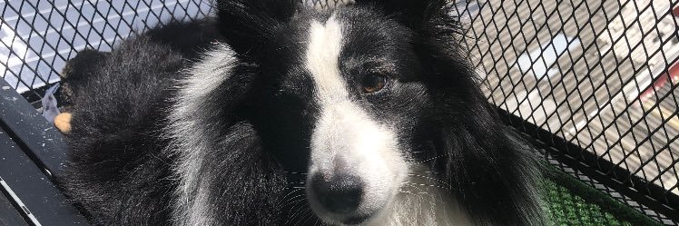 nuggy_6's profile banner image