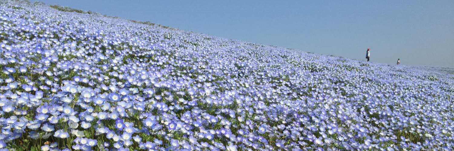 roty24's profile banner image
