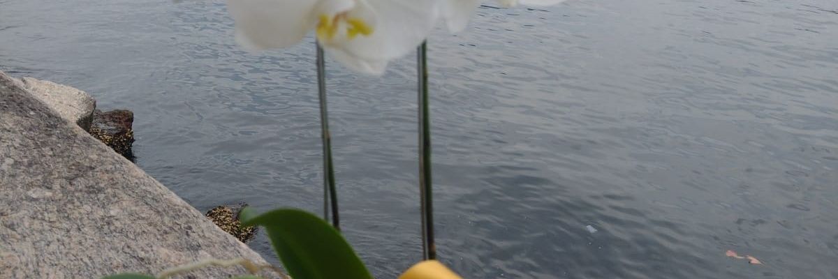 guiomarbitetti's profile banner image