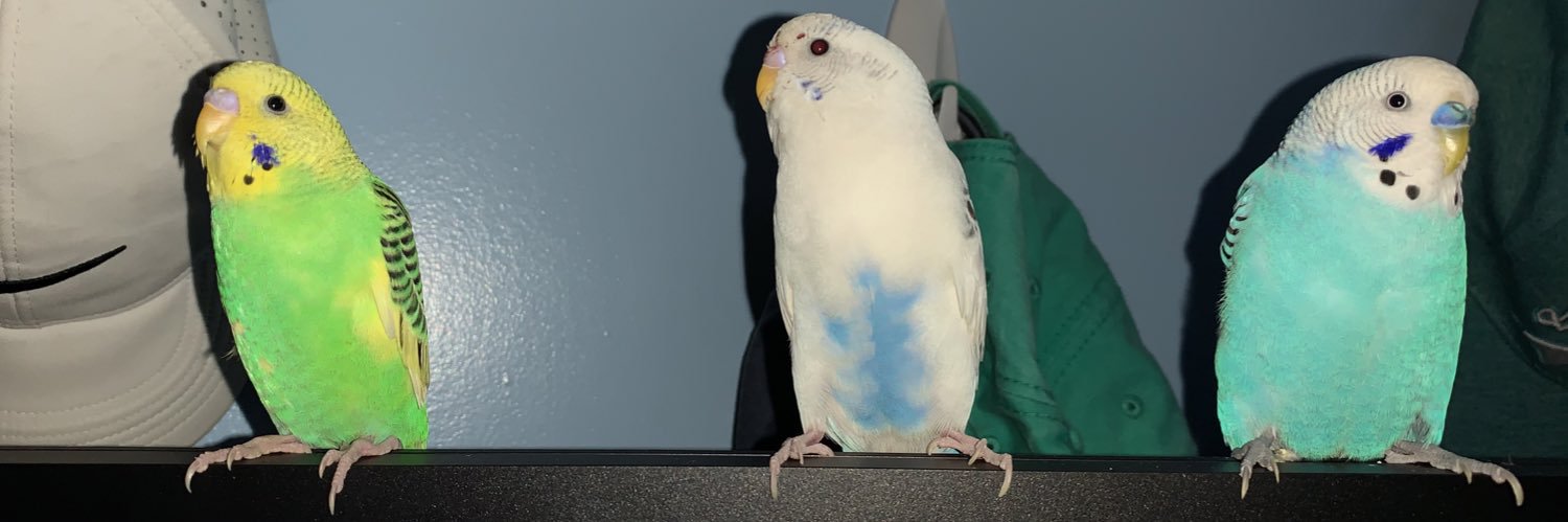 Verbbaa's profile banner image