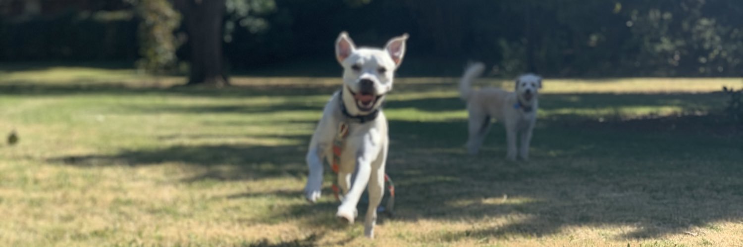 M_Martincich's profile banner image
