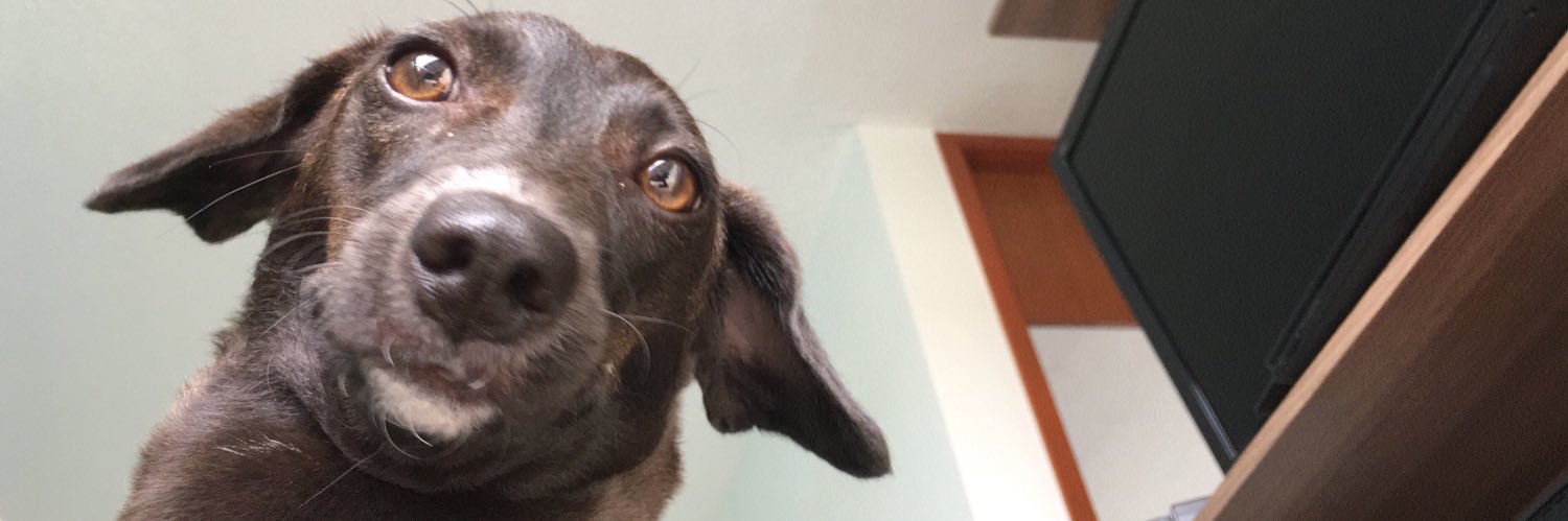 thyagoftos's profile banner image