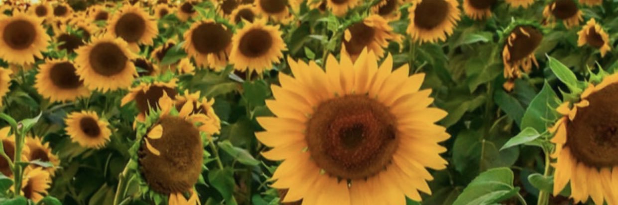 jusbri_'s profile banner image