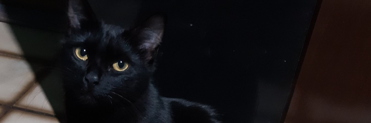 And_Thamiris's profile banner image