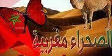 3ee739a8ea27494's profile banner image
