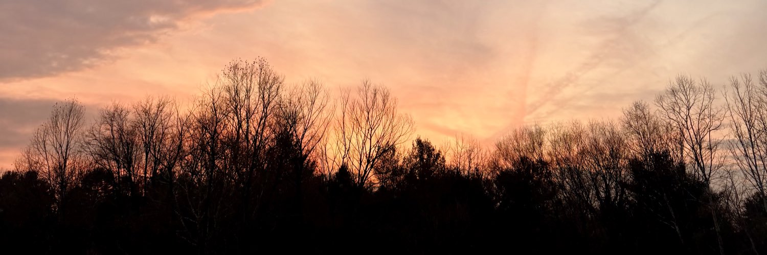sarcamp25's profile banner image