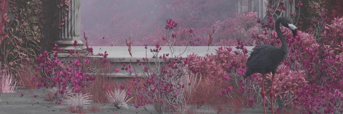 _atlvntic's profile banner image