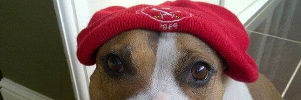 scottylaarge's profile banner image