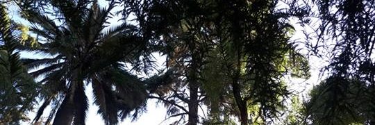 Aledo_Cris's profile banner image