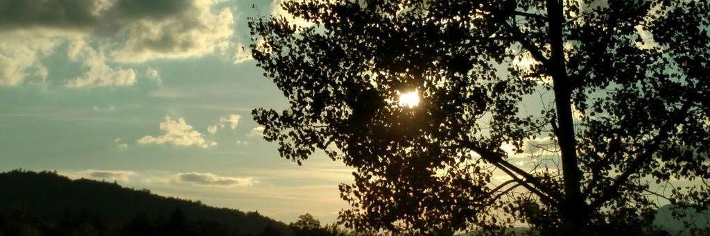 bryanmh1713's profile banner image
