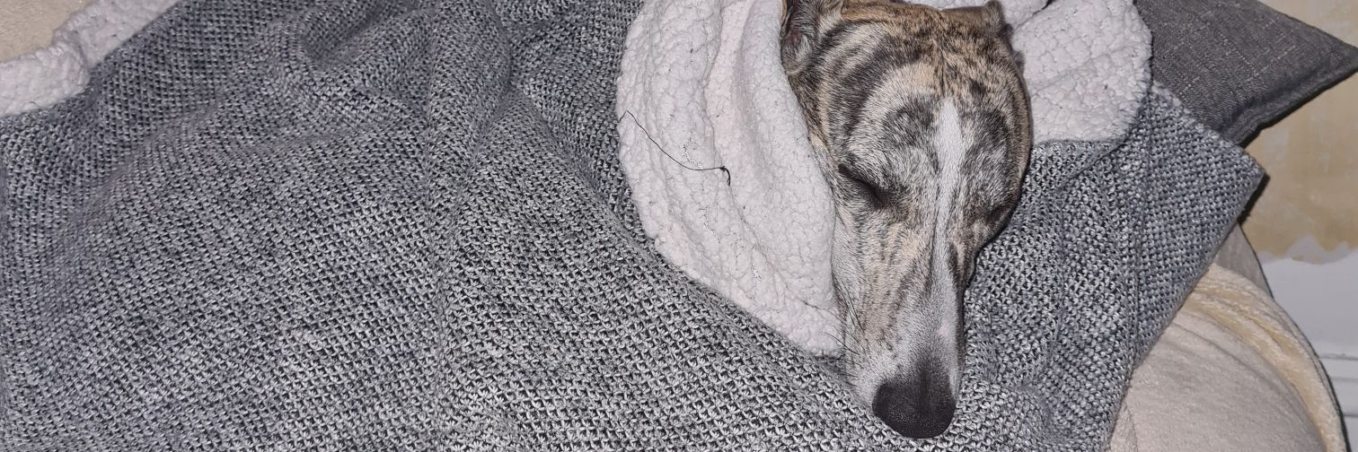 tiouty's profile banner image