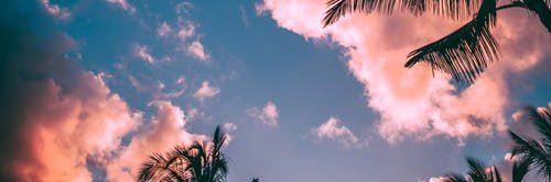 trejo__s's profile banner image