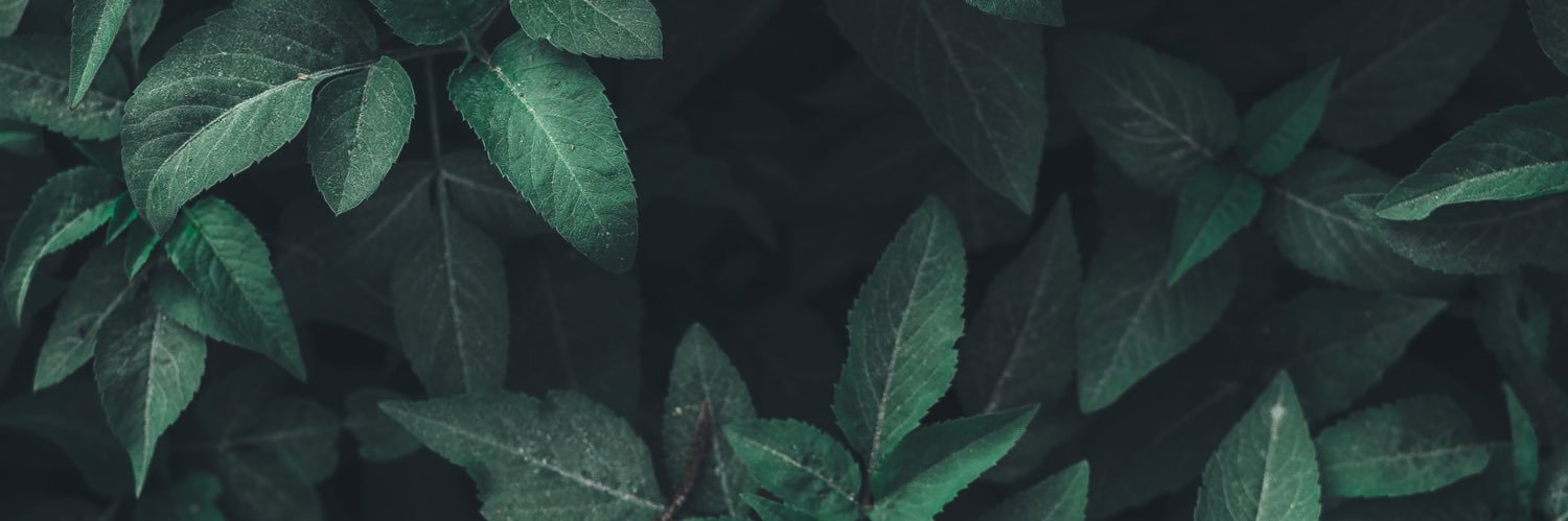 Cktownsend97's profile banner image