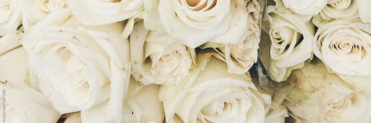 prscilla_'s profile banner image