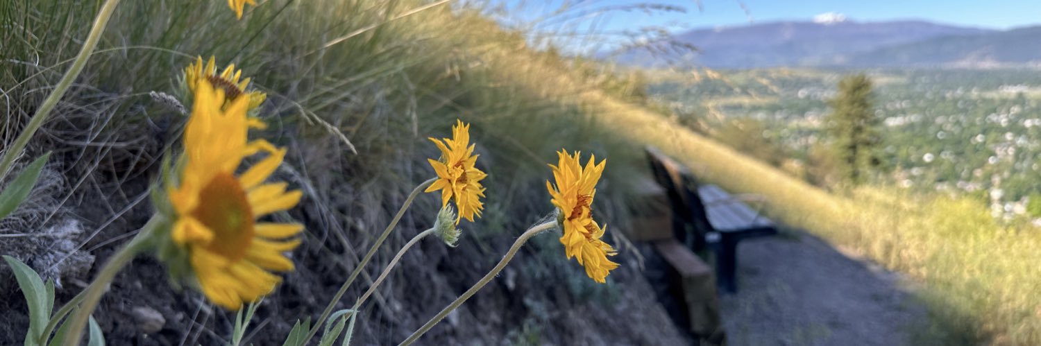 April Wills, M.Ed. MTHist.TOY banner