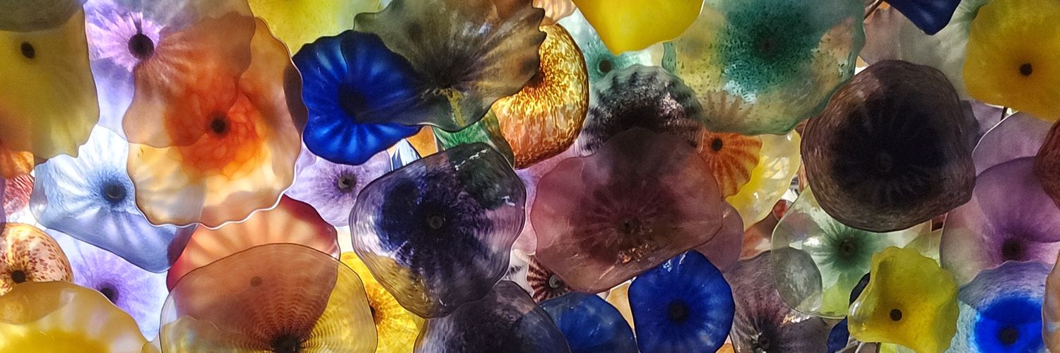 danielaromv's profile banner image