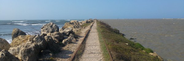 fosorio12 Profile Banner