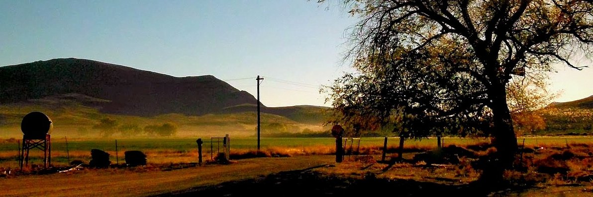 Bob Custer In Nevada banner