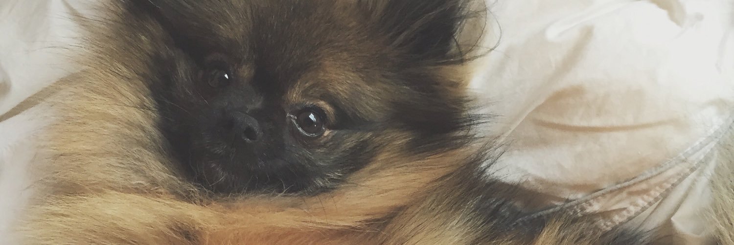 Paigemilnerr's profile banner image
