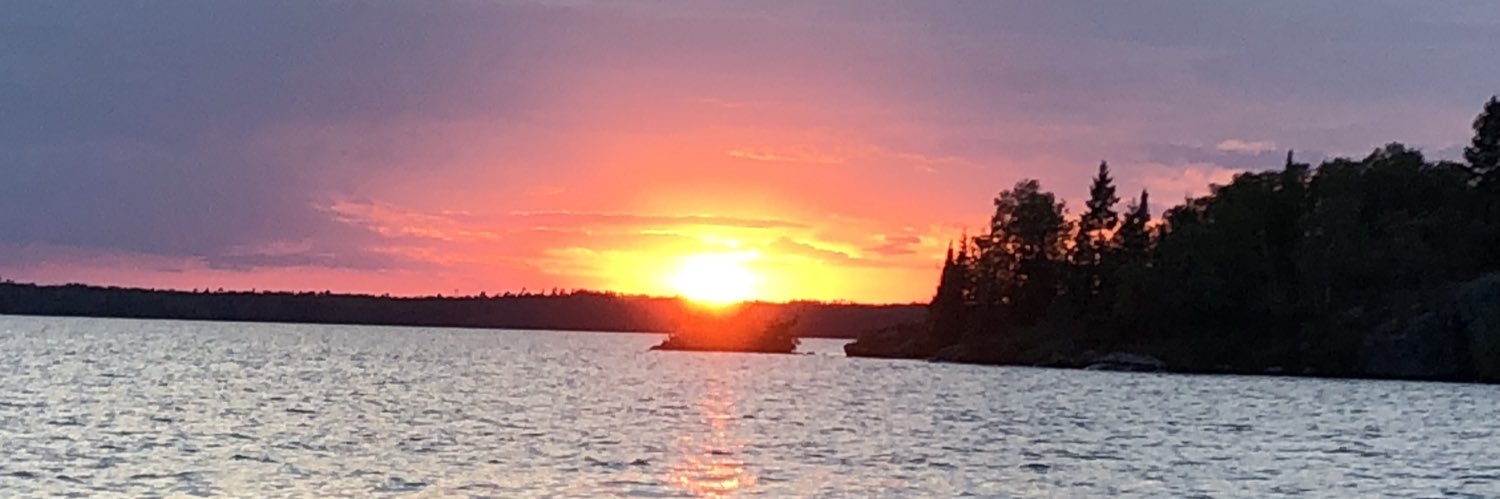 HallsonMic's profile banner image