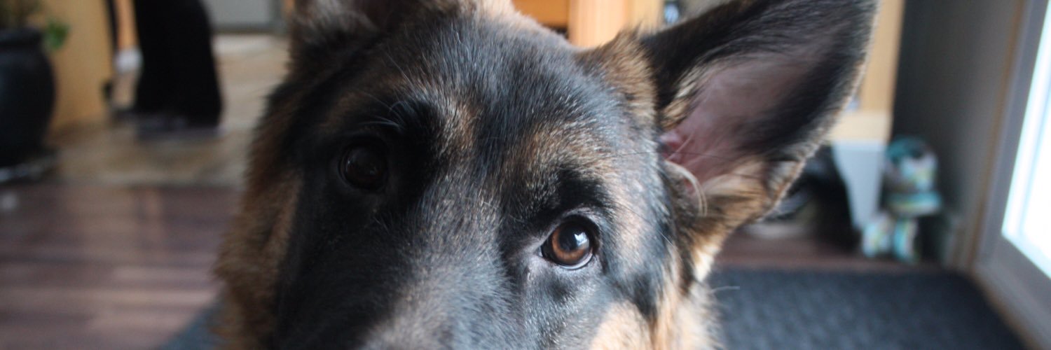 lochra's profile banner image