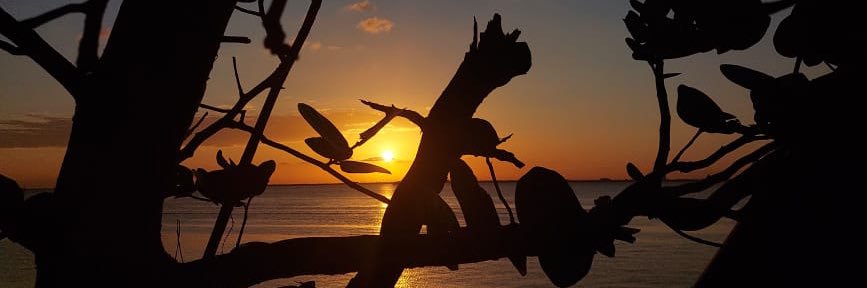 maryihg's profile banner image