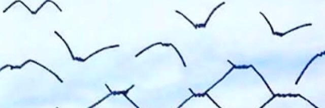 DbDbetty's profile banner image