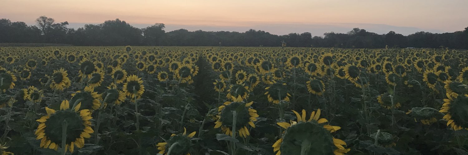 GhillieQuick's profile banner image