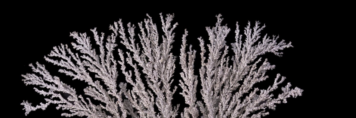 Rachel Davidson banner