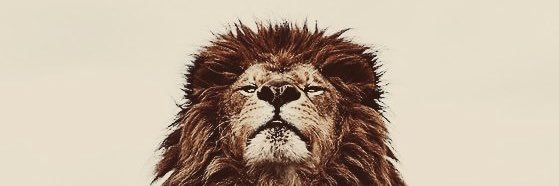 G_Russ95's profile banner image