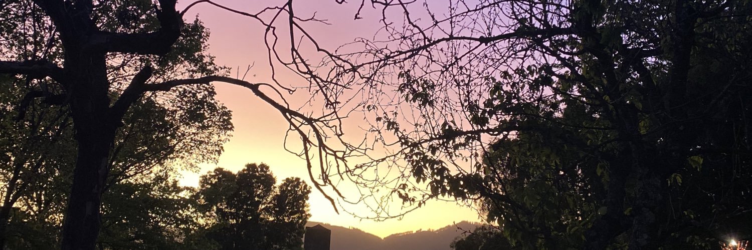 Andreaabh's profile banner image