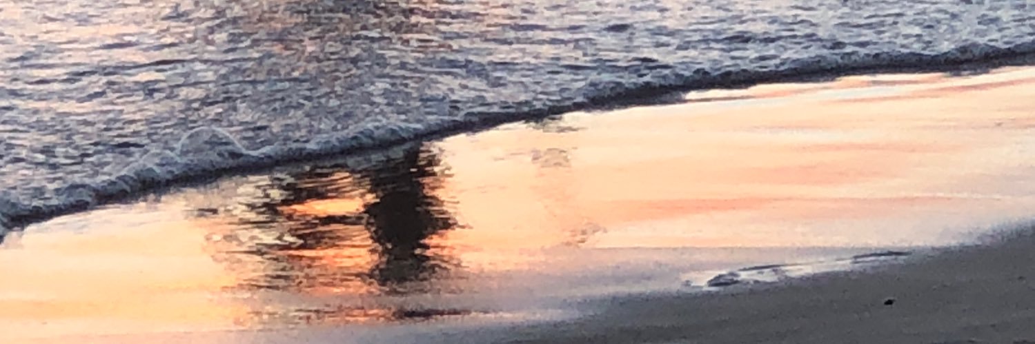 aroondog12's profile banner image