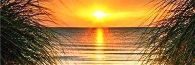 NY_Legs's profile banner image