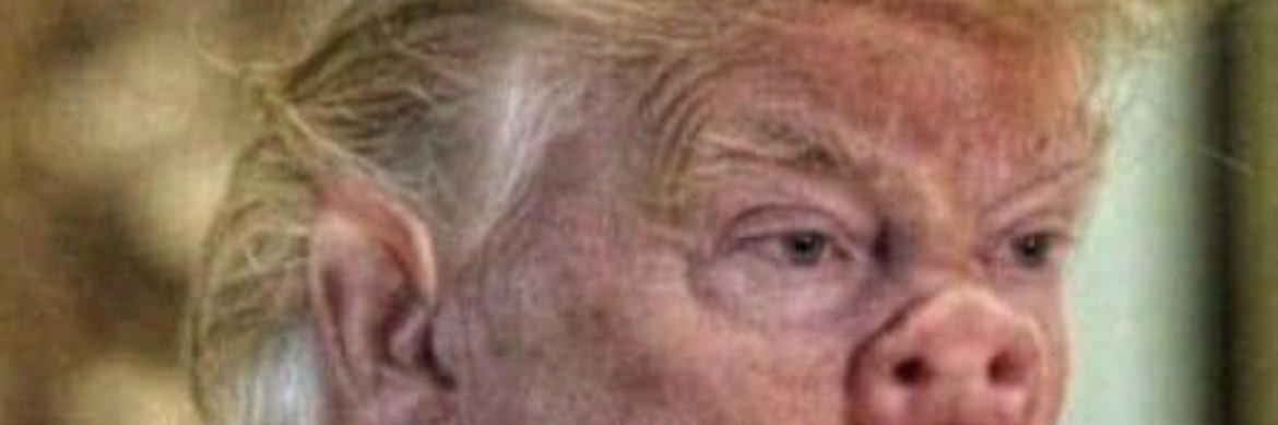 Haters_gonna_hate's banner