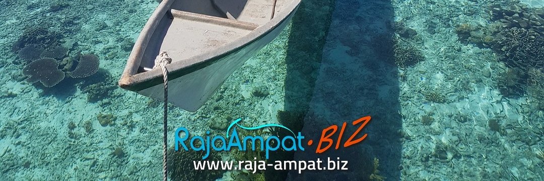 RajaAmpatGuide's profile banner image