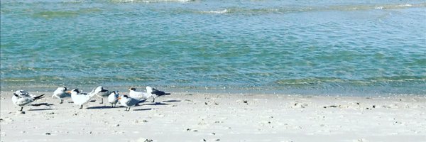 MrsCallahan13 Profile Banner