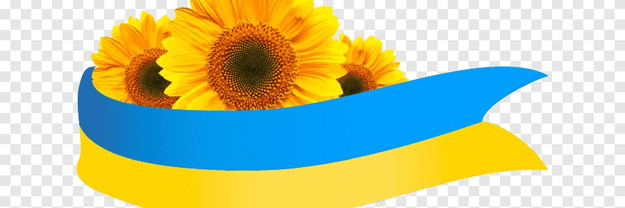 bodacious_bear's profile banner image