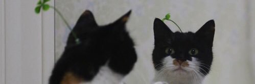 drearncast's profile banner image