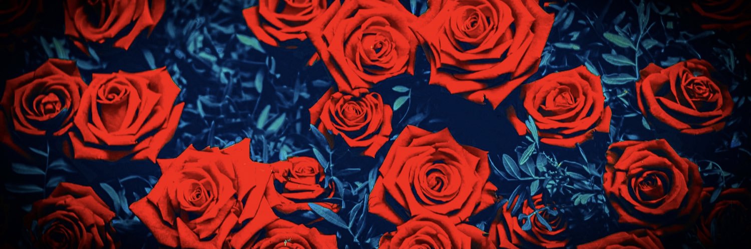 vanishedairwar's profile banner image