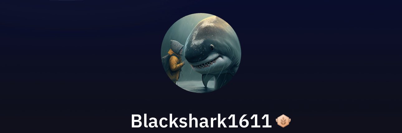 RenegadeMstr's profile banner image