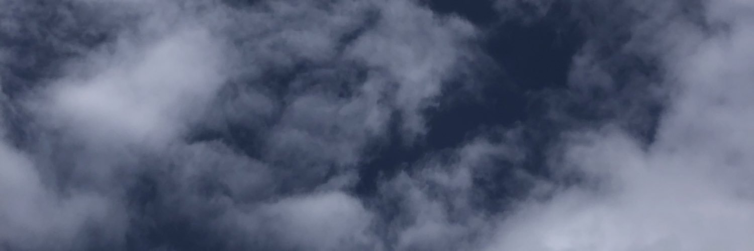 nihmasa's profile banner image