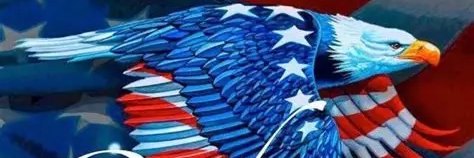 dwike8008's profile banner image