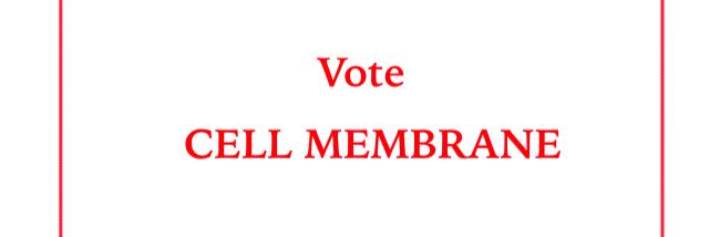 CellVote's profile banner image