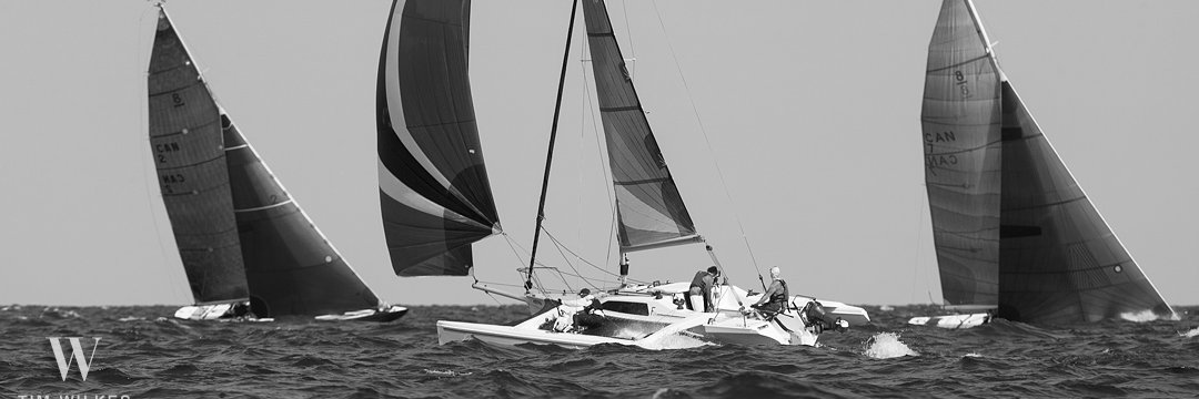 Tim Wilkes banner