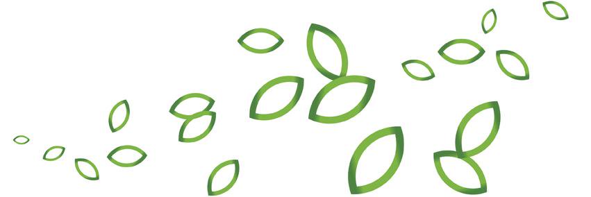 soulrootltd's profile banner image