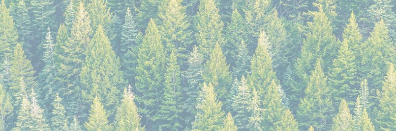 hazesilver_'s profile banner image