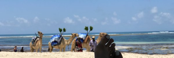 Sonal_MK Profile Banner