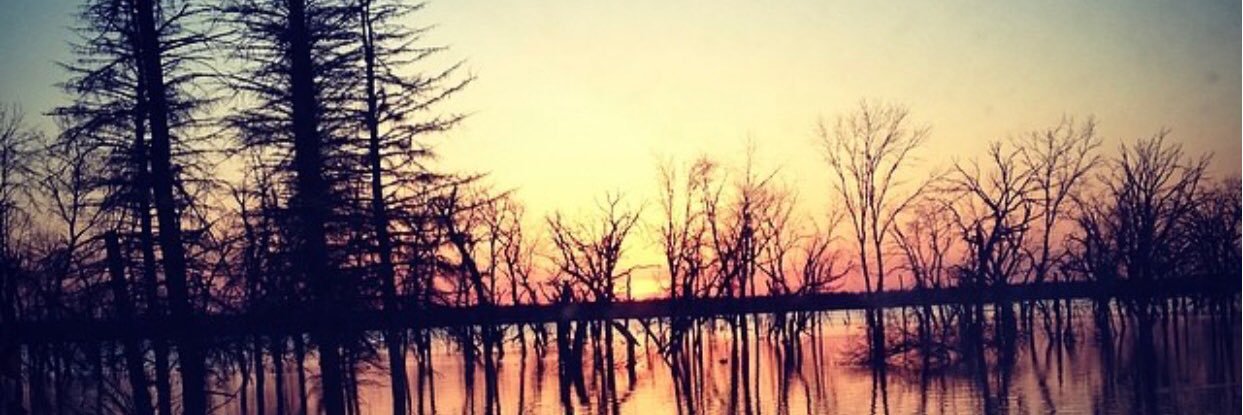 Jadyn_Mae's profile banner image
