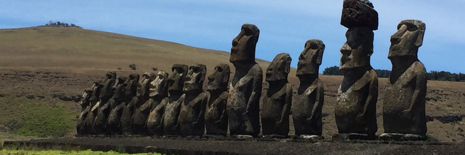 Megan McCarthy banner